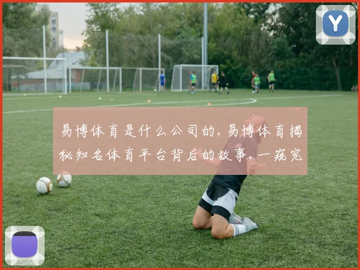 易博体育是什么公司的,易博体育揭秘知名体育平台背后的故事,一窥究竟