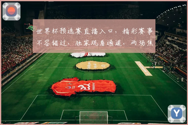 世界杯预选赛直播入口，精彩赛事不容错过，独家观看通道，两场焦点战同步开启，锁定激情时刻