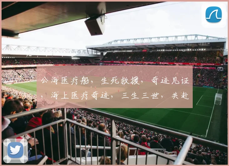 公海医疗船，生死救援，奇迹见证，海上医疗奇迹，三生三世，共赴生死之旅